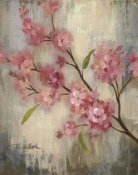 Silvia Vassileva - Cherry Blossom II Crop