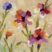 Silvia Vassileva - Bold Bright Flowers III