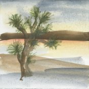 Silvia Vassileva - Desert Joshua Tree