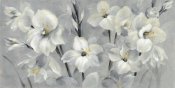 Silvia Vassileva - Flowers on Gray