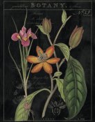 Sue Schlabach - Vintage Flora III