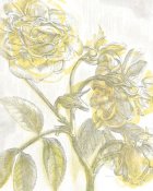 Sue Schlabach - Belle Fleur Yellow I