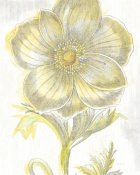 Sue Schlabach - Belle Fleur Yellow II