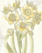 Sue Schlabach - Belle Fleur Yellow IV