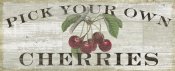 Sue Schlabach - Farm Fresh Cherries