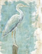 Sue Schlabach - Coastal Egret I working