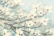 James Wiens - Dogwood Blossoms II