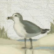 James Wiens - Beach Bird II