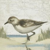 James Wiens - Beach Bird IV