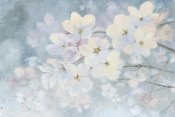 James Wiens - Splendid Bloom