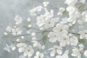 James Wiens - Spring Beautiful Gray