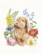 Mary Urban - Sunny Bunny I FB