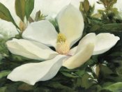 Julia Purinton - Majestic Magnolia