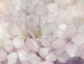 Julia Purinton - Apple Blossoms