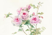 Danhui Nai - Sweet Roses on White Green