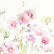 Danhui Nai - Queen Annes Lace and Cosmos on White II