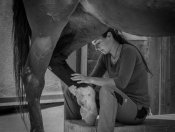 Sebastian Graf - Girl Treats Horse
