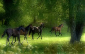 Allan Wallberg - Running Horses