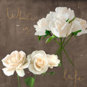 Teo Rizzardi - White Roses