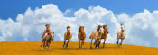 Pangea Images - Herd of wild horses (detail)