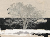 Alessio Aprile - Silver Tree