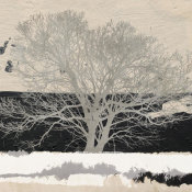 Alessio Aprile - Silver Tree (detail)