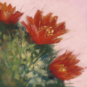 Carol Rowan - Blooming Succulent IV