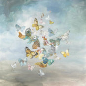 Danhui Nai - Beautiful Butterflies