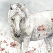 Lisa Audit - Wild Horses V
