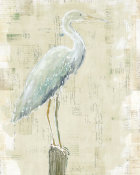 Sue Schlabach - Coastal Egret I v2 no Aqua