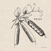 Studio Mousseau - Burlap Vegetable BW Sketch Peas
