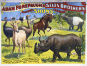 Hollywood Photo Archive - Adam Forepaugh & Sells Brothers Enormous Shows Combined - Wondrous Sumatra, African And South-American Wild Beasts And Birds