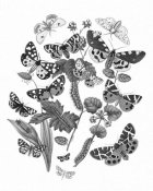 Wild Apple Portfolio - Butterfly Bouquet IV Linen BW IV