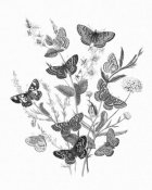 Wild Apple Portfolio - Butterfly Bouquet I Linen BW I