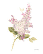 Danhui Nai - Floursack Florals on White VI