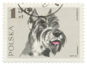 Wild Apple Portfolio - Poland Stamp I on White