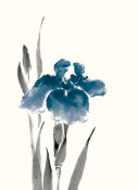 Chris Paschke - Japanese Iris III Crop Indigo