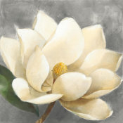 Albena Hristova - Magnolia Blossom on Gray