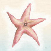 Elyse DeNeige - Boardwalk Starfish