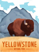 Martin Wickstrom - Yellowston National Park - Bison