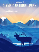 Martin Wickstrom - Olympic National Park - Elk