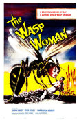 Hollywood Photo Archive - The Wasp Woman, 1959