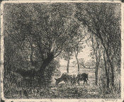 Charles Francois Daubigny - Vaches sous Bois, 1862