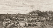 Charles Francois Daubigny - The Sheepfold, Morning (La Grand Parc a Moutons, le Matin), ca. 1860