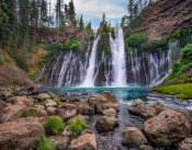 Tim Fitzharris - Waterfall, McArthur-Burney Falls Memorial State Park, California