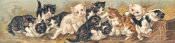 Unknown 19th Century American Lithographer - Yard of Cats, 1895 - Cropped