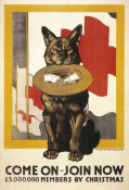 Richard Fayerweather Babcock - Dog Collecting for the Red Cross, 1917