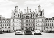 Gasoline Images - Vintage Roadsters at French Castle