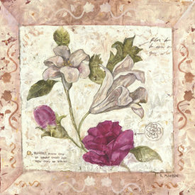 Martin - A Lily And Rose Page