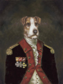 Massy - Master Rufus De Terrier